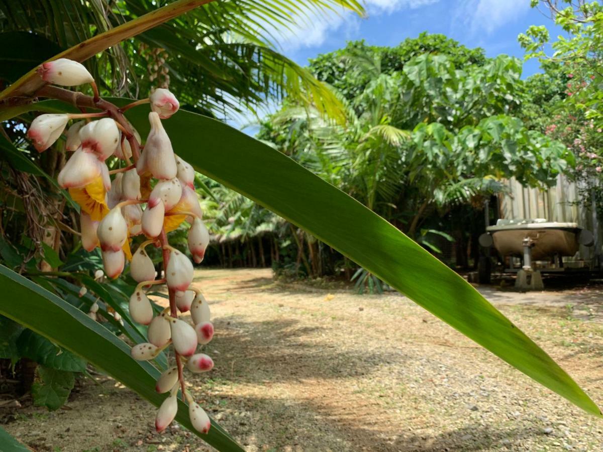 Ishigaki  Villa Sound Of The Surf المظهر الخارجي الصورة
