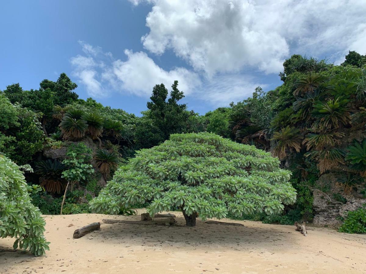 Ishigaki  Villa Sound Of The Surf المظهر الخارجي الصورة