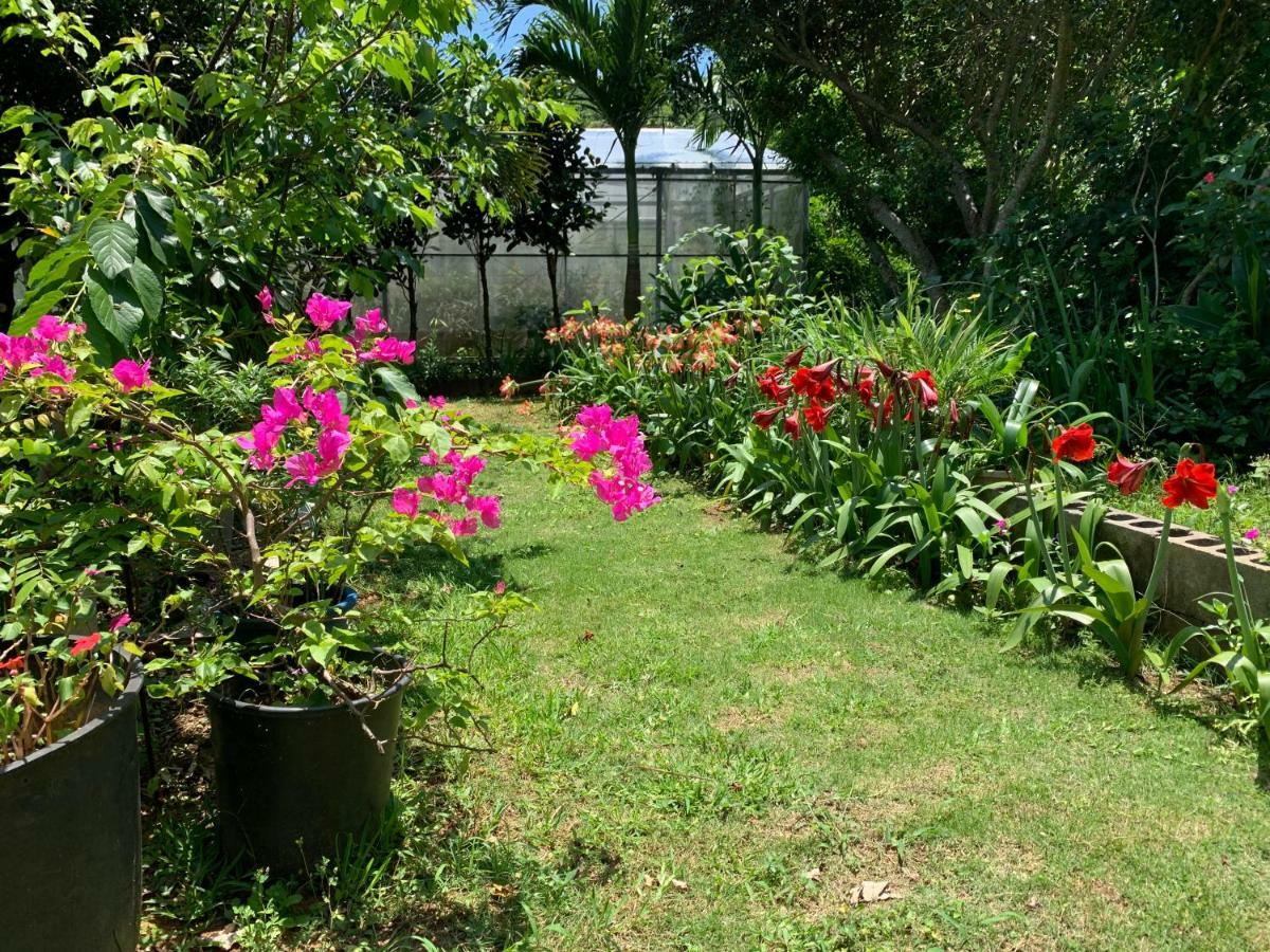 Ishigaki  Villa Sound Of The Surf المظهر الخارجي الصورة
